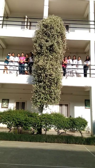 sbsu gallery 22 0015