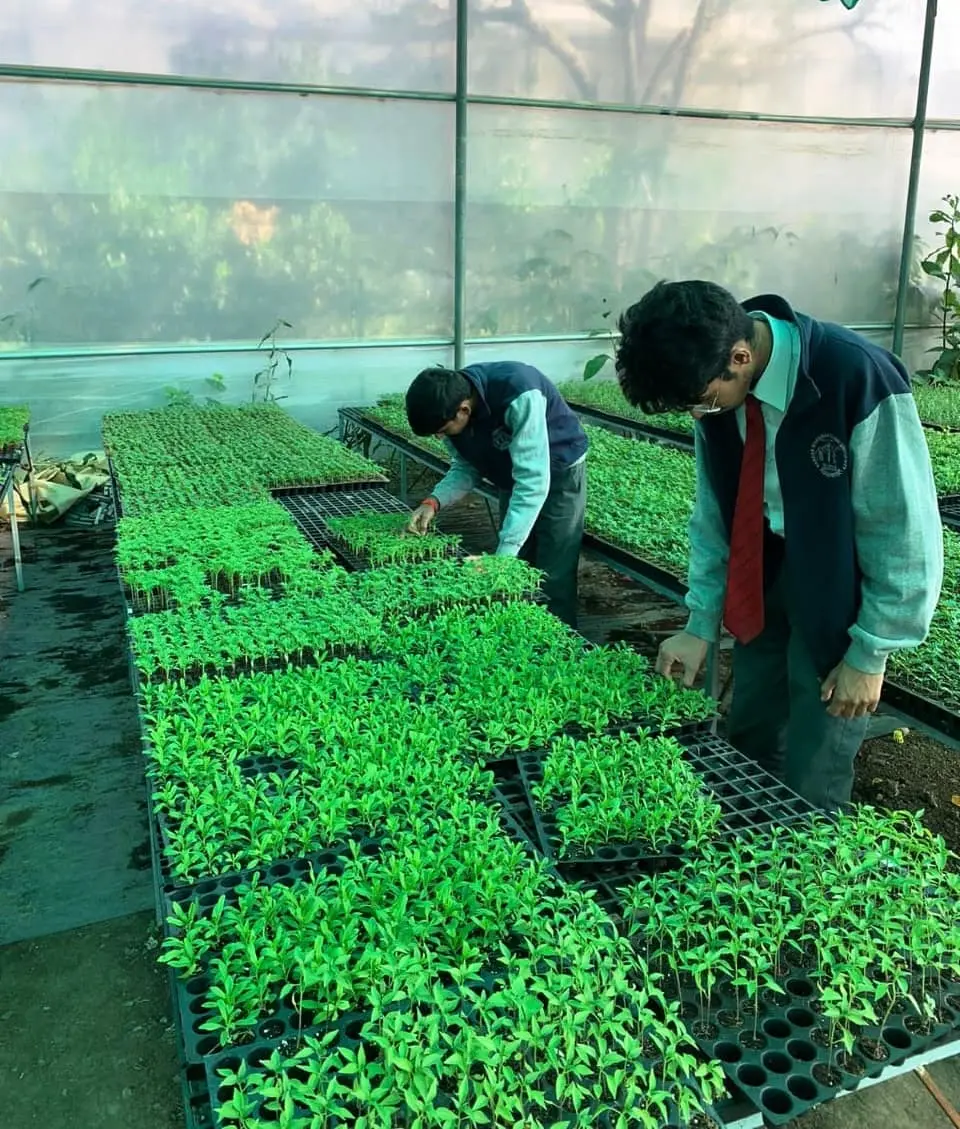 agriculture and innovation